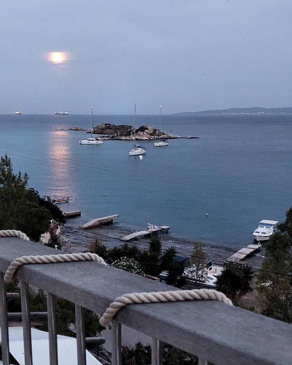 Salamis House | ΘΕΑΛΟΣ ΒΡΑΧΟΣ