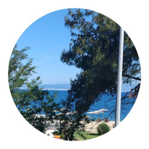 Skala Prinou Apartment | ΘωΜΑΙΣ