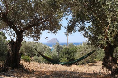 Kithira House | Μικρό Ανάδιο