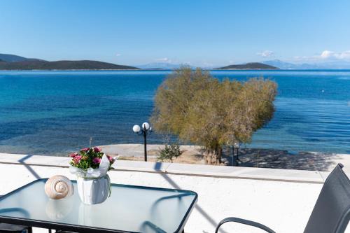 Marmari Apartment | Ο Μόλος