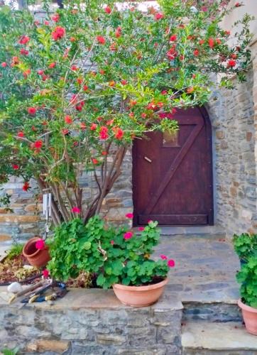 Agios Ioannis Apartment | Πέτρινο