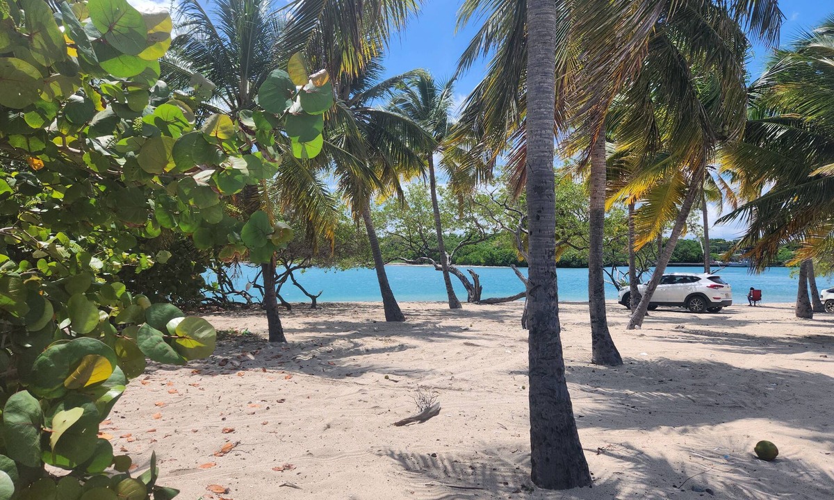 Barahona Apartment | 2-bdrm Penthouse apt, private rooftop with Bay views, AC, WiFi, BBQ, Parking +