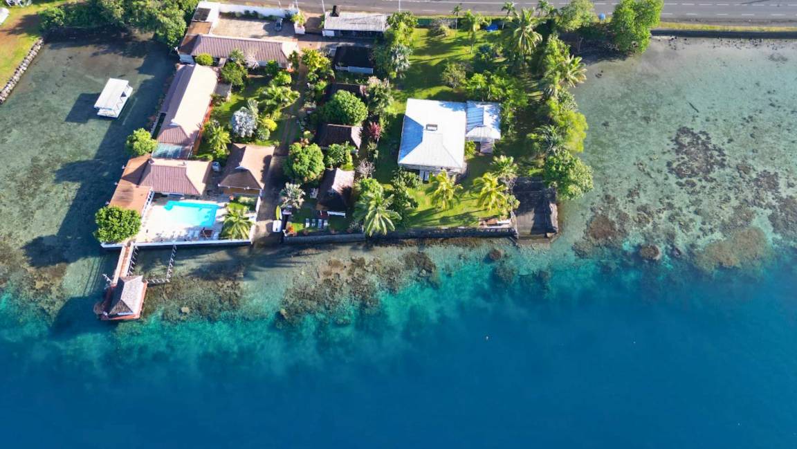 Papara Apartment | 36 m² Studio flat ∙ 1 bedroom ∙ 4 guests
