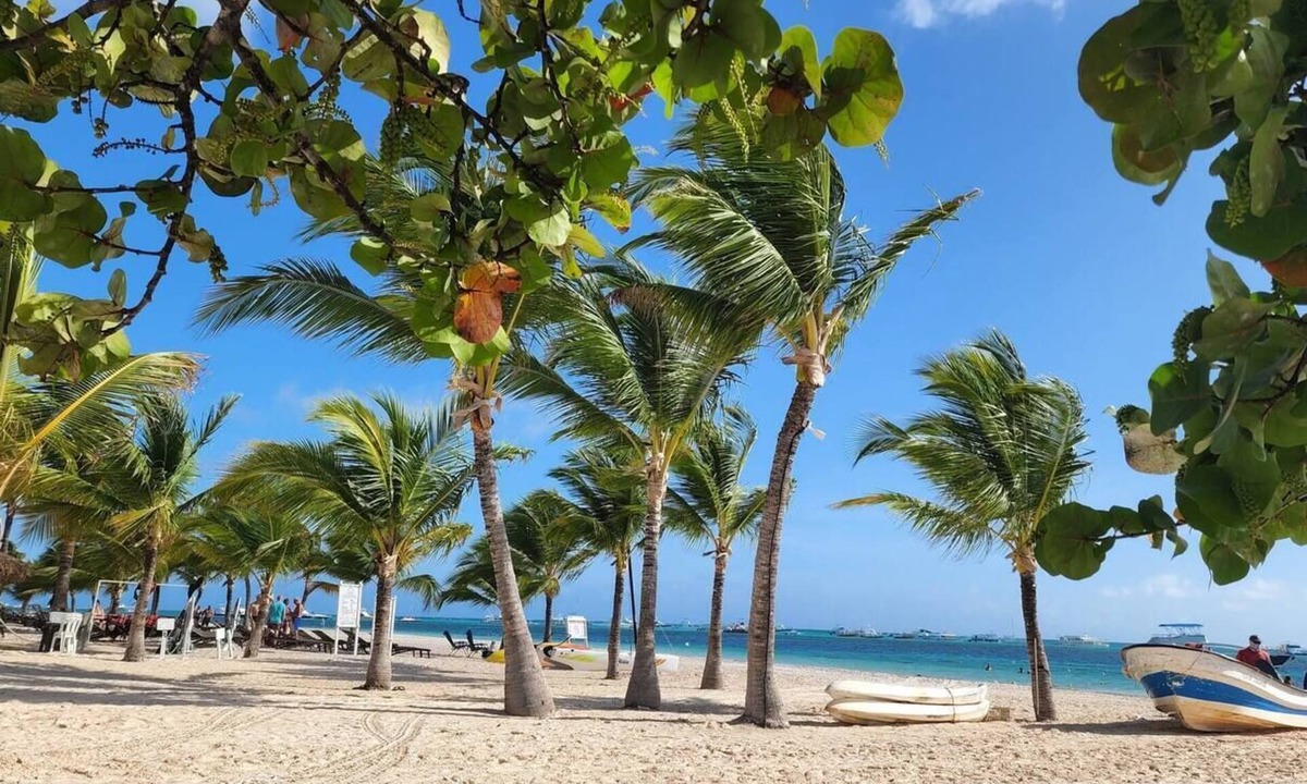 Playa Bibijagua Apartment | 5 minutes Beach apt with Parking, Pool and Jacuzzi.