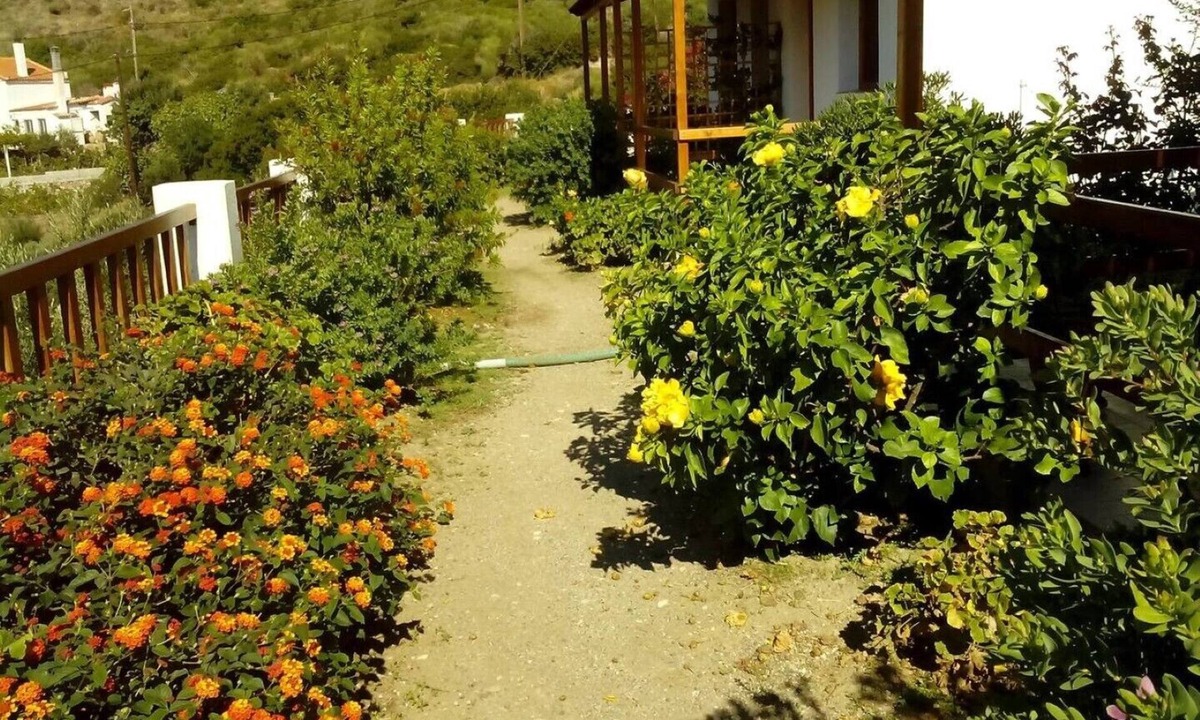 Agios Kirykos Apartment | #7 Drakano Studios, for nature lovers