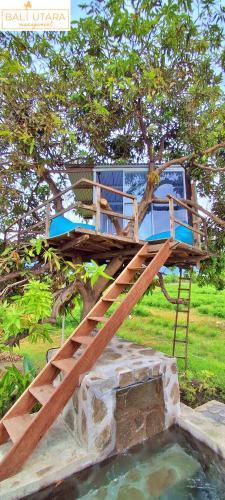 Kalisada Other | A Mango Tree House with a private swimming pool