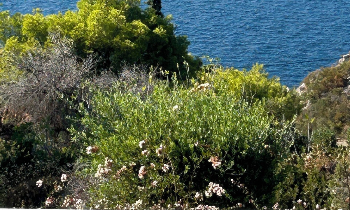 Theologos Villa | A very nice villa with special sea view !