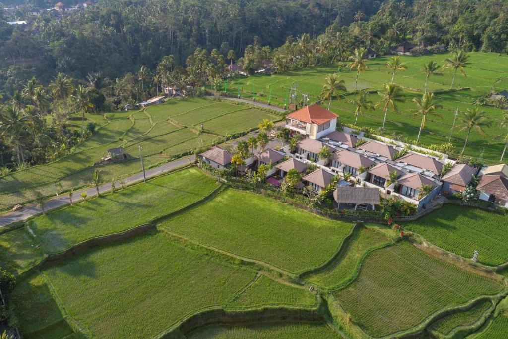 Kenderan Villa | Amatara Abirama Villas