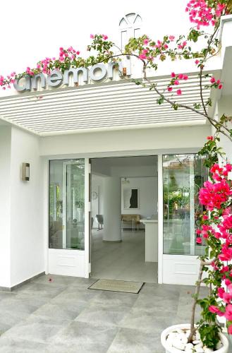 Skiathos Town Hotel | Anemoni Beach Hotel