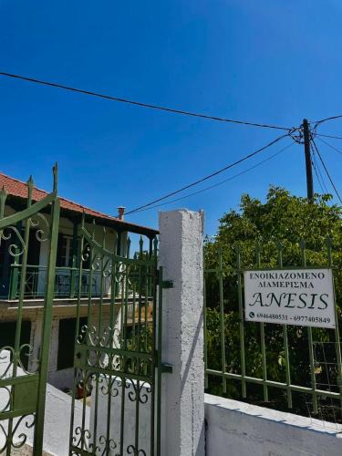Asprogerakata House | ANESIS