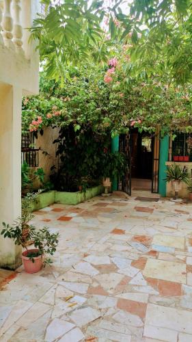 Boca Chica Apartment | Apartahotel carla
