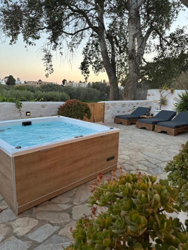 Drios Villa | Arethousa House