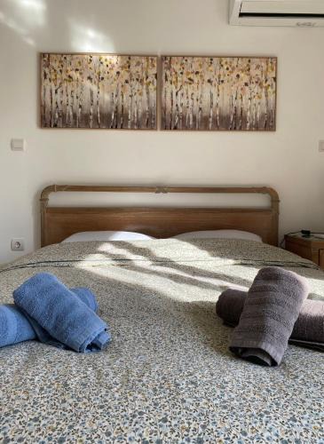 Kolokinthou Apartment | Azure House