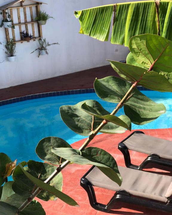 Bavaro Apartment | Barlovento