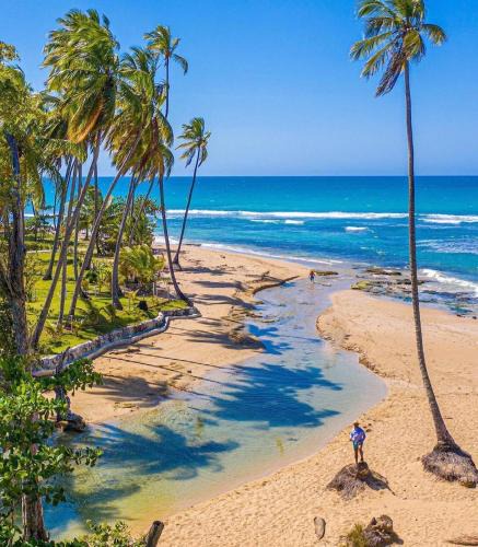 Las Terrenas Apartment | Beach Bungalow 100 m Playa Coson