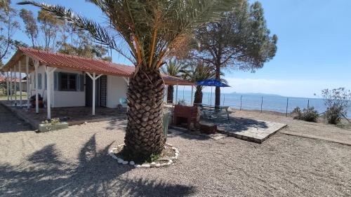 Lakopetra House | Beachfront 2Br Garden Bbq SeaView QuietRetreat