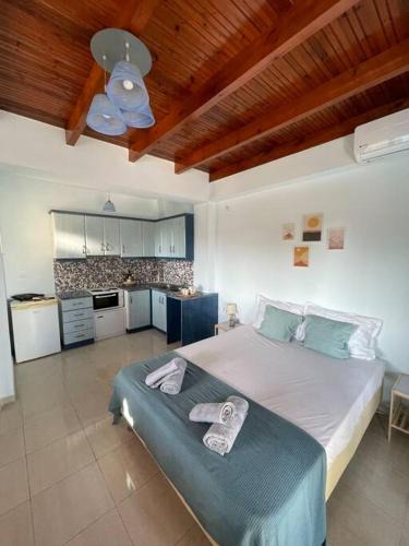 Mavrovouni Apartment | BlackMountain Room
