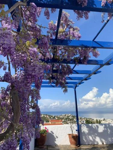 Saronida House | Blue Echoes