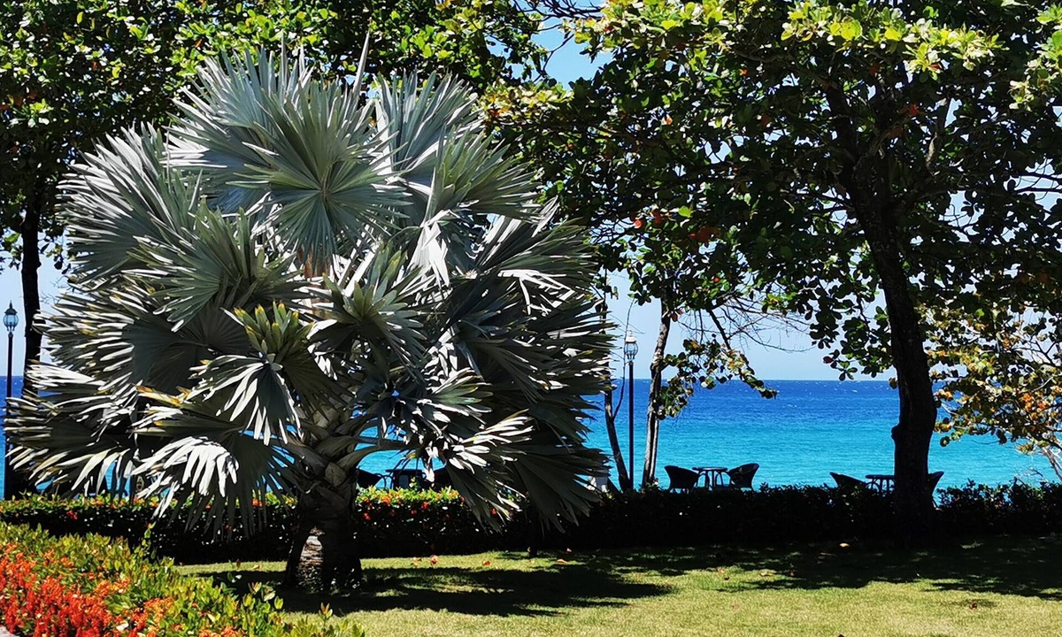 El Batey Condo | Breathtaking Beachfront Ocean View Deluxe Condo. Free weekly maid service.