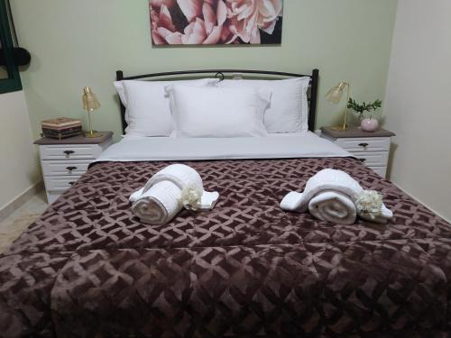 Alexandroupoli Apartment | Cactus Oasis