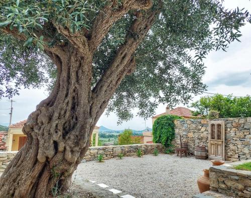 Eleftheres Villa | Calma Estate