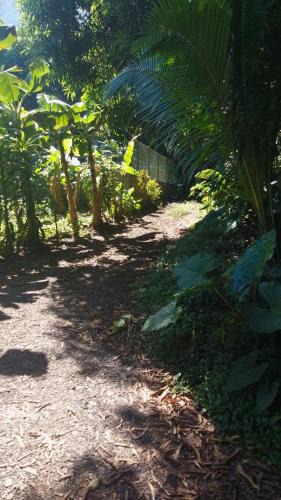 Nunue Other | Camping Nature Bora