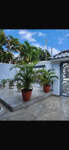 Santo Domingo House | Casalabeba