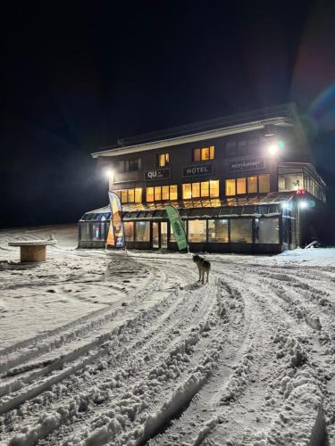 Aetia Cabin | Chalet Vasilitsa