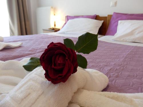 Platanias Town Apartment | Charisma Apartment
