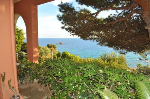 Parelia Apartment | Charming Studio Apartments with Swimming Pool near Pelekas Beach