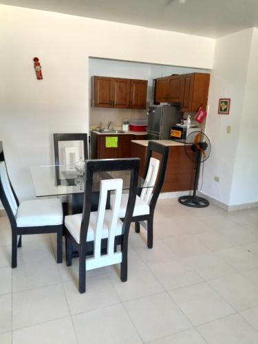 Santiago Province Apartment | Comodo apartamento en el centro de la ciudad