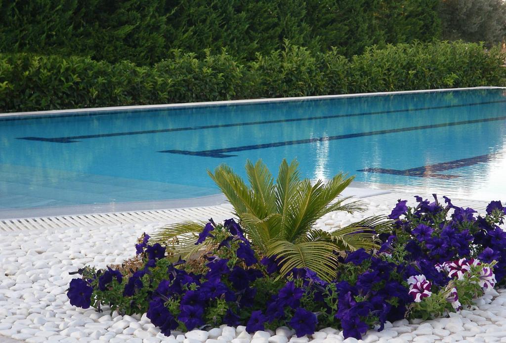 Agii Apostoli Apartment | Cosmos Resort