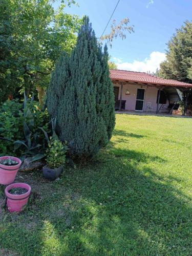 Karditsa Apartment | Cottage House