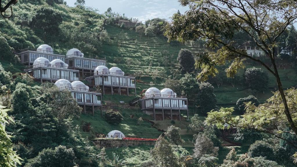 Ciloto Hotel | Damar Langit Resort
