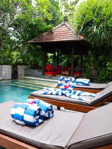 Tua Bed & Breakfast | Damewa House