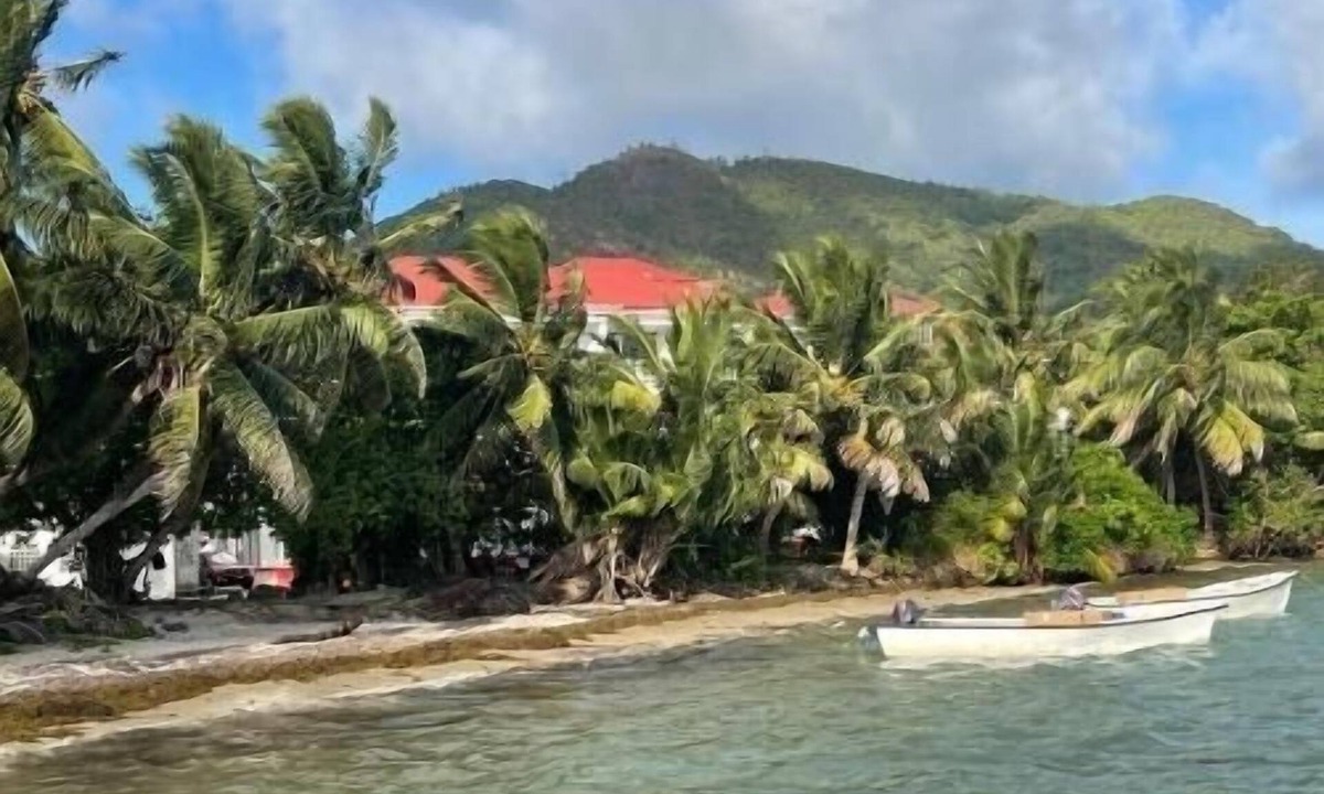 Grand Anse Apartment | Diamond Plaza Beachfront Apartment
