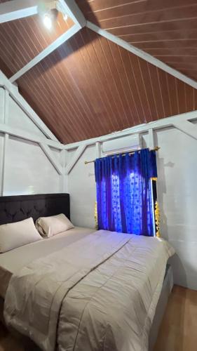 Krui Hostel | Dibi Krui Surf