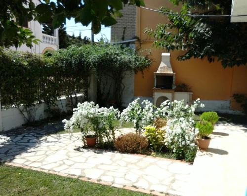 Acharavi Apartment | Dimitris Studios Acharavi Corfu