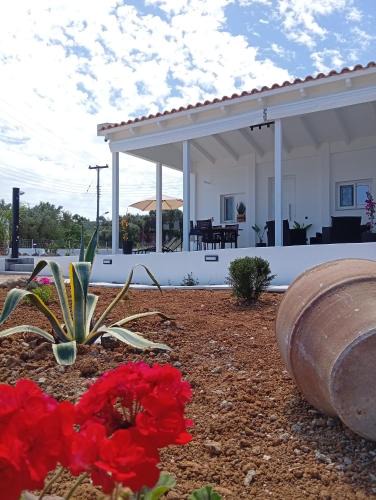 Amoudi Villa | Dioros villa
