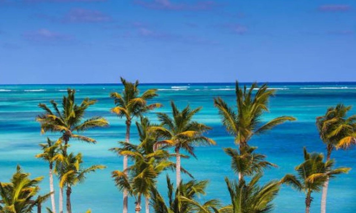 Cap Cana Marina Apartment | Dream Ocean View at Premium 2 Bedroom Condo with Jacuzzi!