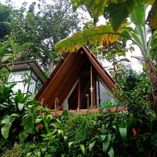 Candikuning Bed & Breakfast | ECO Bedugul adventurer camp