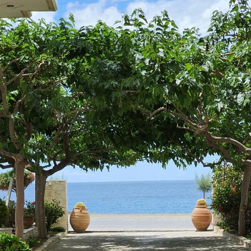 Myrtos Apartment | Eirini Apts On the beach