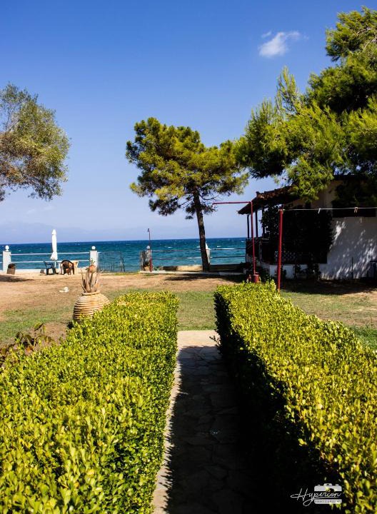 Aipeia Apartment | Eirini Kasimiotou Apartments