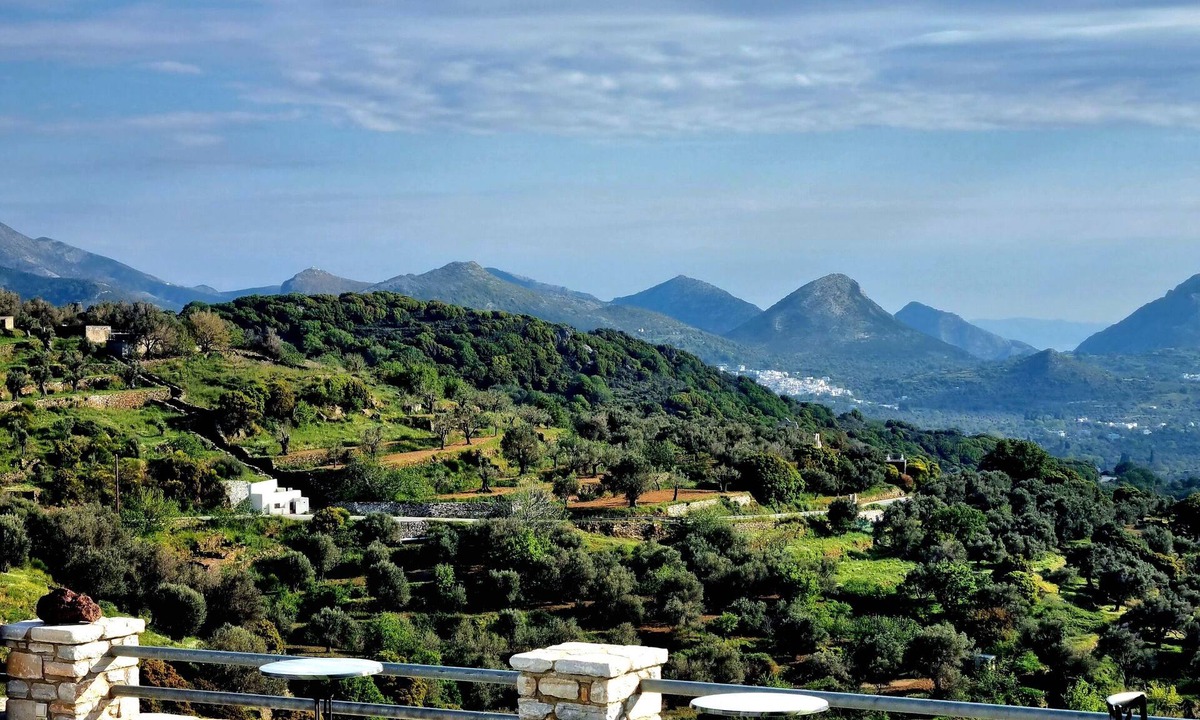Naxos House | ELAIOLITHOS - Luxury Villa Suites - Adults Only