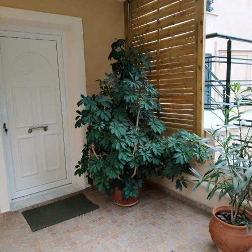 Kavala Apartment | Elena 1