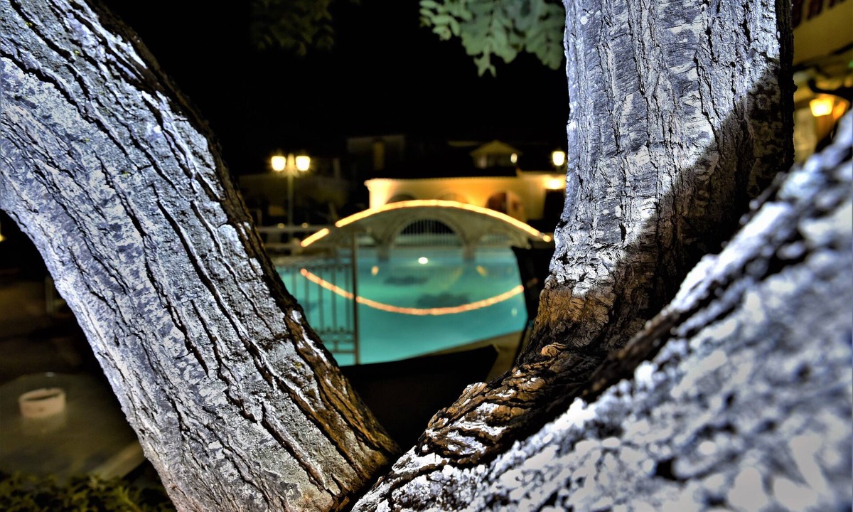 Alikanas Hotel | Elpida Hotel