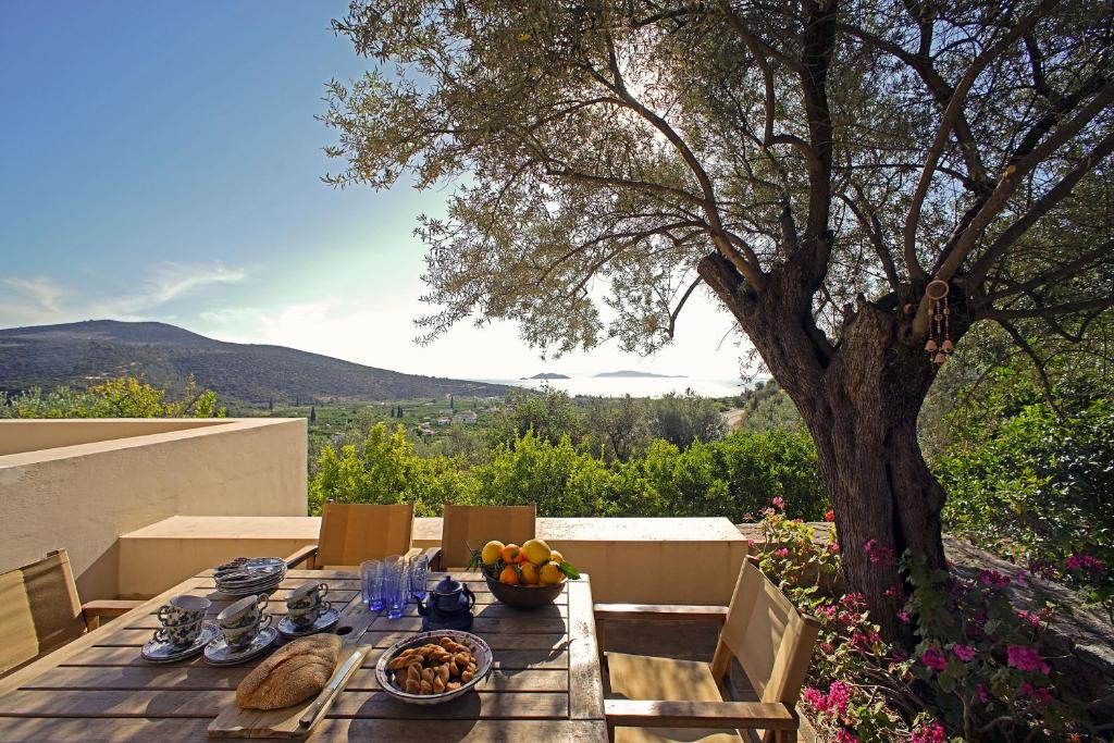 Melissopetra House | Epidaurus Olive Villa