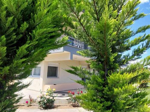 Keramoti Apartment | EROFILIO
