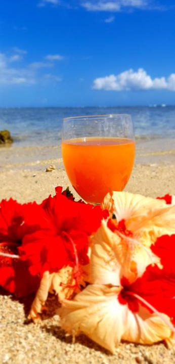Moorea-Maiao House | Fare HIA'AI