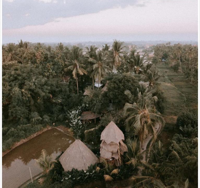 Peliatan Hotel | Firefly Eco Lodge